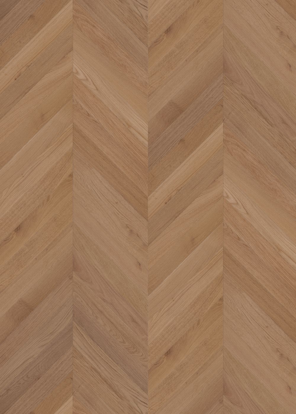 Chevron Fawn Oak engineered European oak flooring colour and grain sample