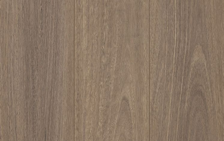 Laminate Pepper Spotted Gum 12mm timber-look flooring swatch