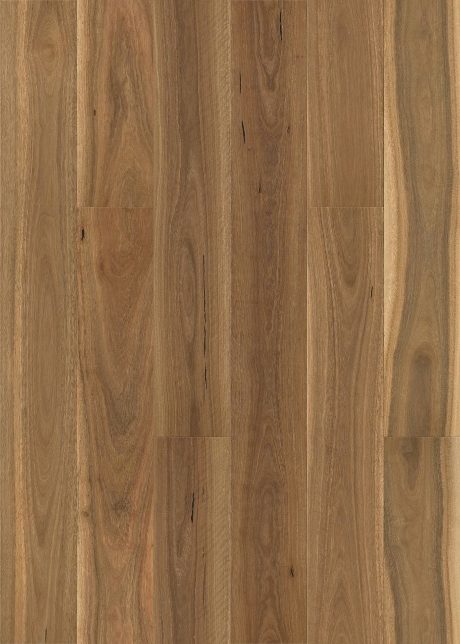 Brushed Spotted Gum engineered spotted gum flooring colour and grain sample.