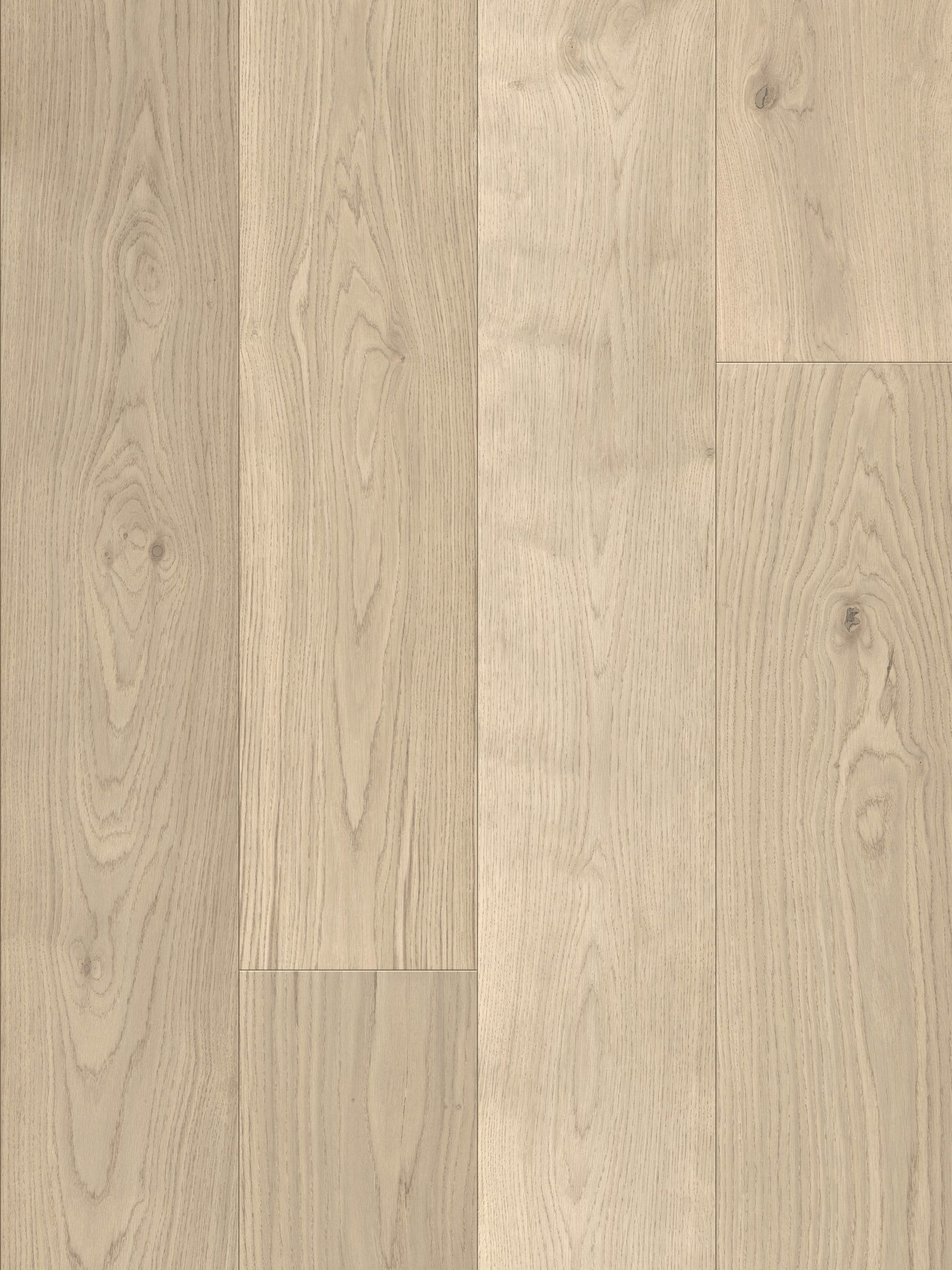 French Beige engineered european oak flooring colour and grain sample.