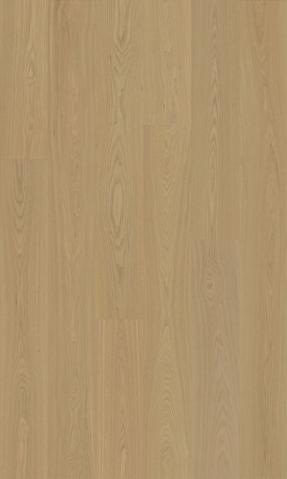 Valencia engineered european ash flooring colour and grain sample.
