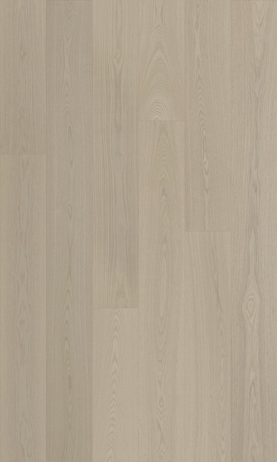 Le Blanc engineered european ash flooring colour and grain sample.