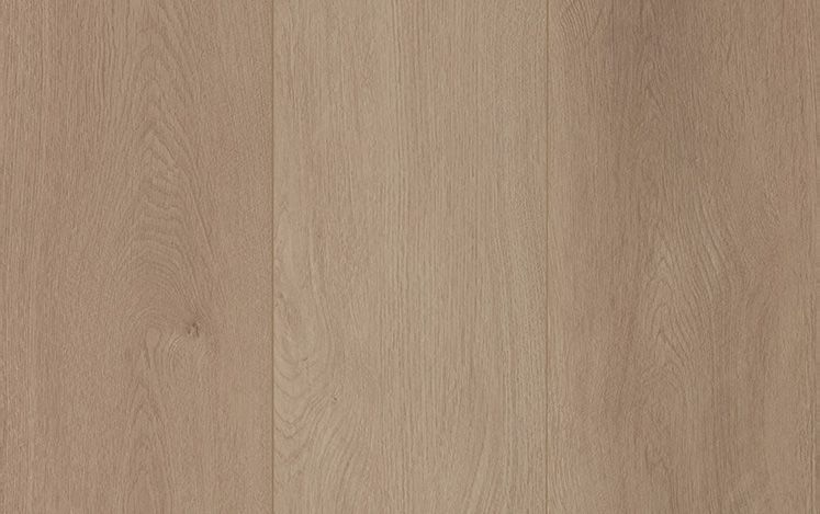 Laminate Desert Haze 12mm timber-look flooring swatch