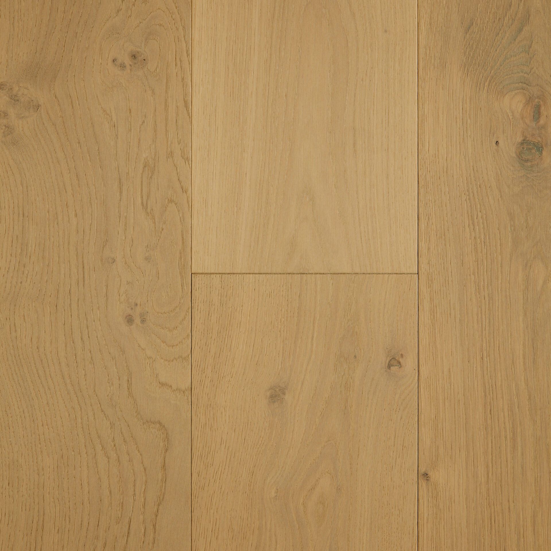 Crema engineered European Oak flooring colour and grain sample.