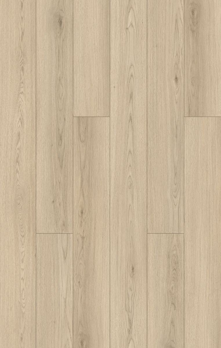 Laminate Chelsea Ivory 12mm flooring colour and grain swatch.