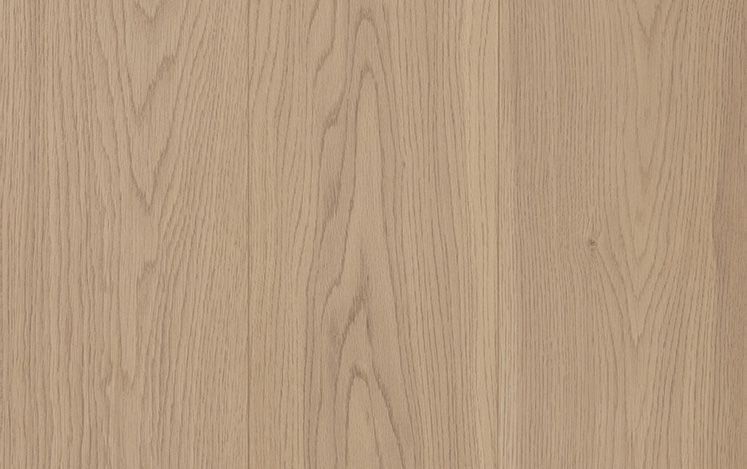 Laminate Early Mist 12mm timber-look flooring swatch