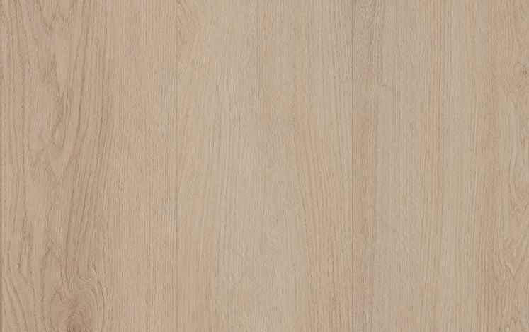 Laminate Sea Spray 12mm timber-look flooring swatch