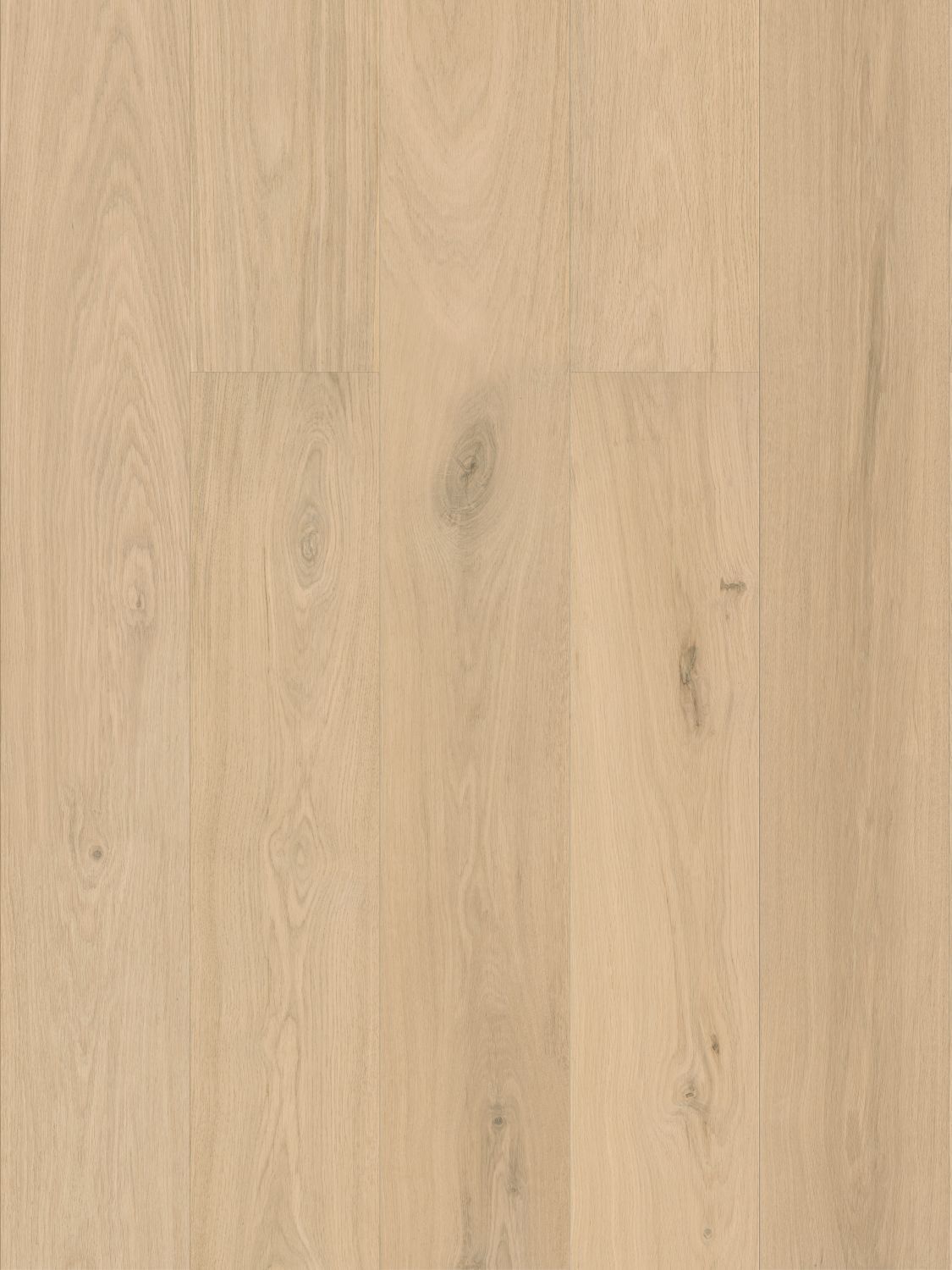 Vintage Natural engineered european oak flooring colour and grain sample.