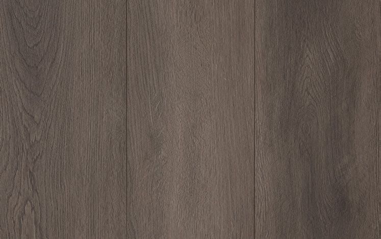 Laminate Winter Hush 12mm timber-look flooring swatch