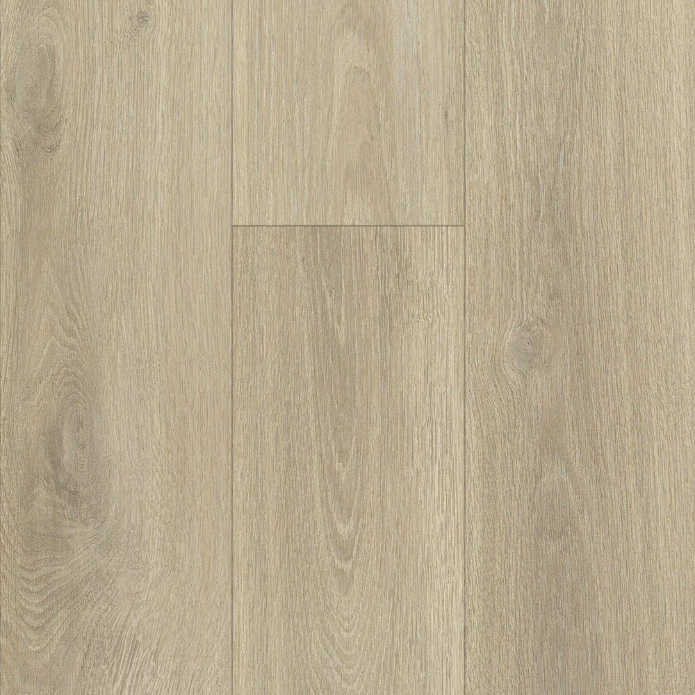 Drizzle timber-look 12 mm laminate flooring swatch
