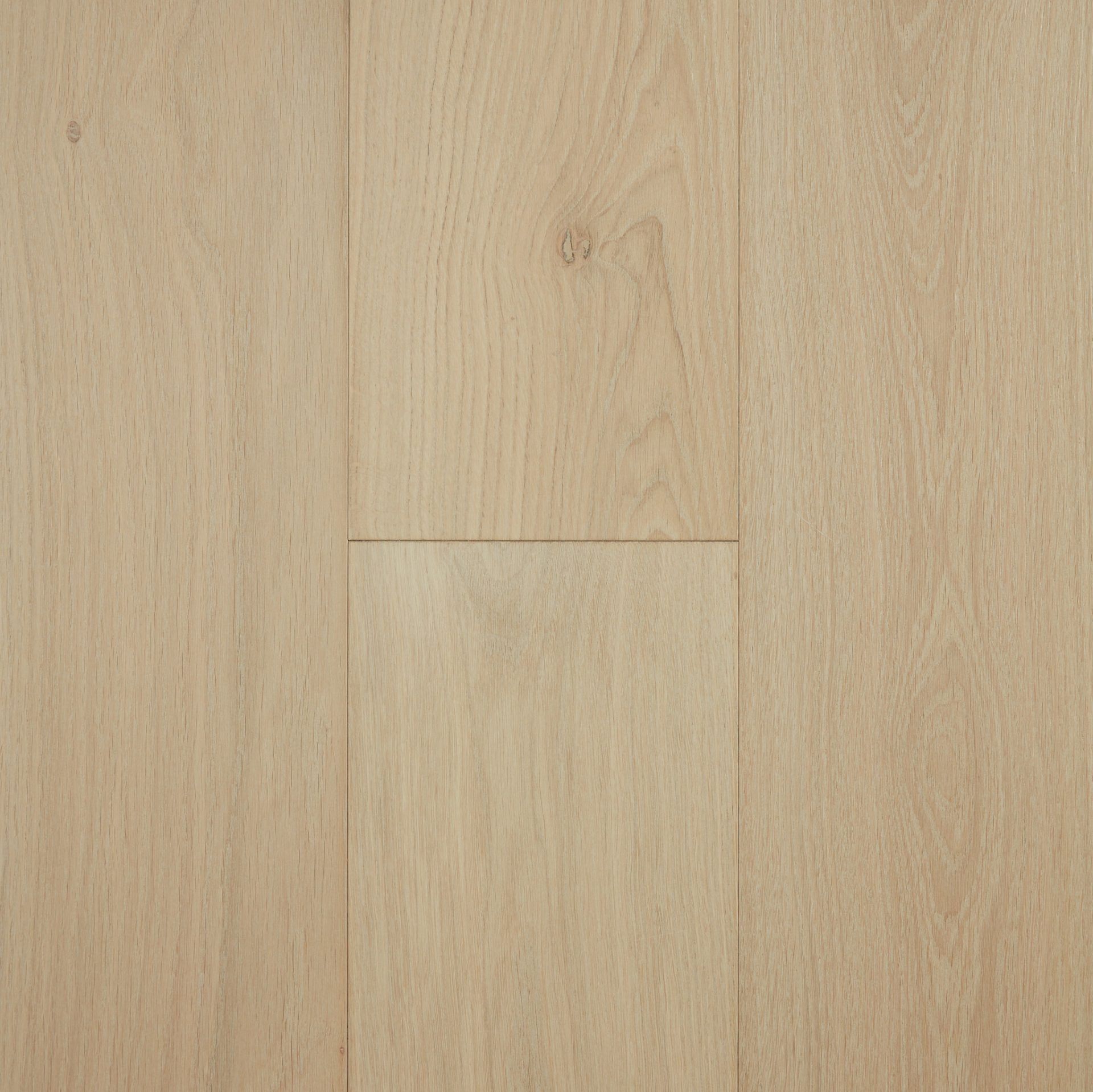 Coral Cay engineered European Oak flooring colour and grain sample.