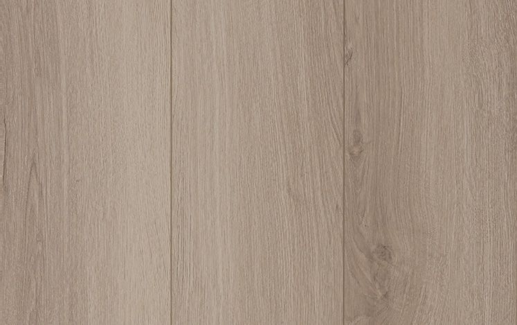 Laminate Wattle Vale 12mm timber-look flooring swatch
