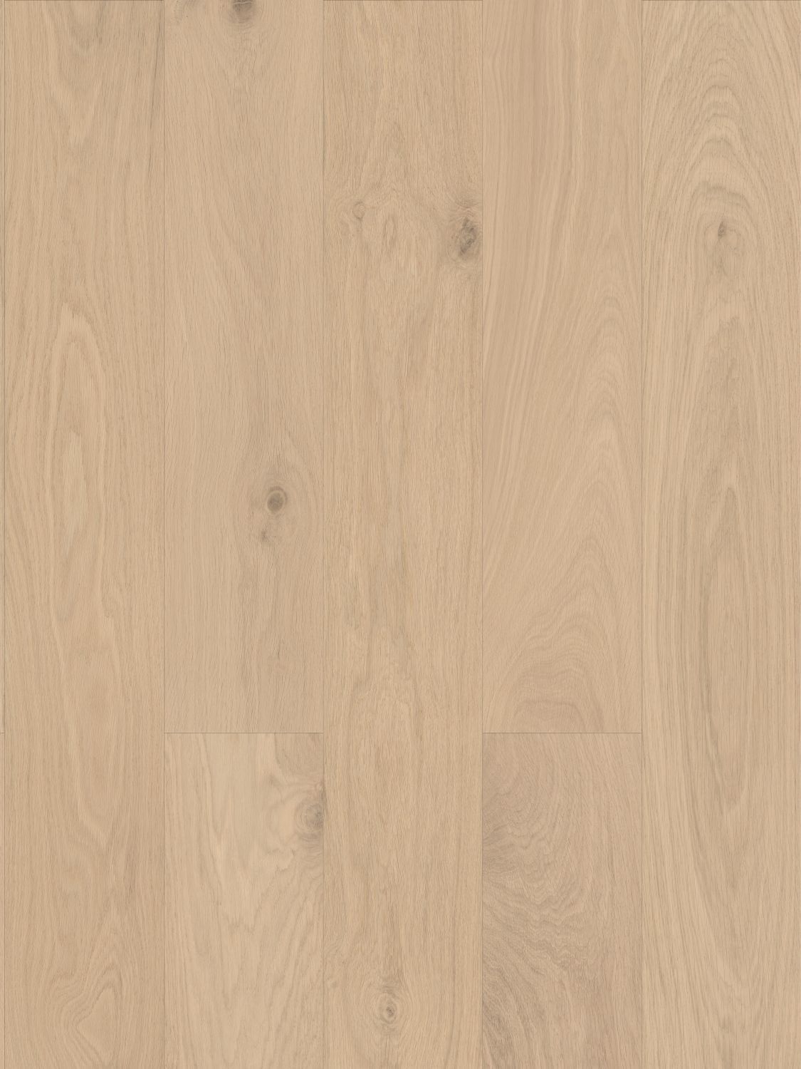 Pampas Sand engineered european oak flooring colour and grain sample.