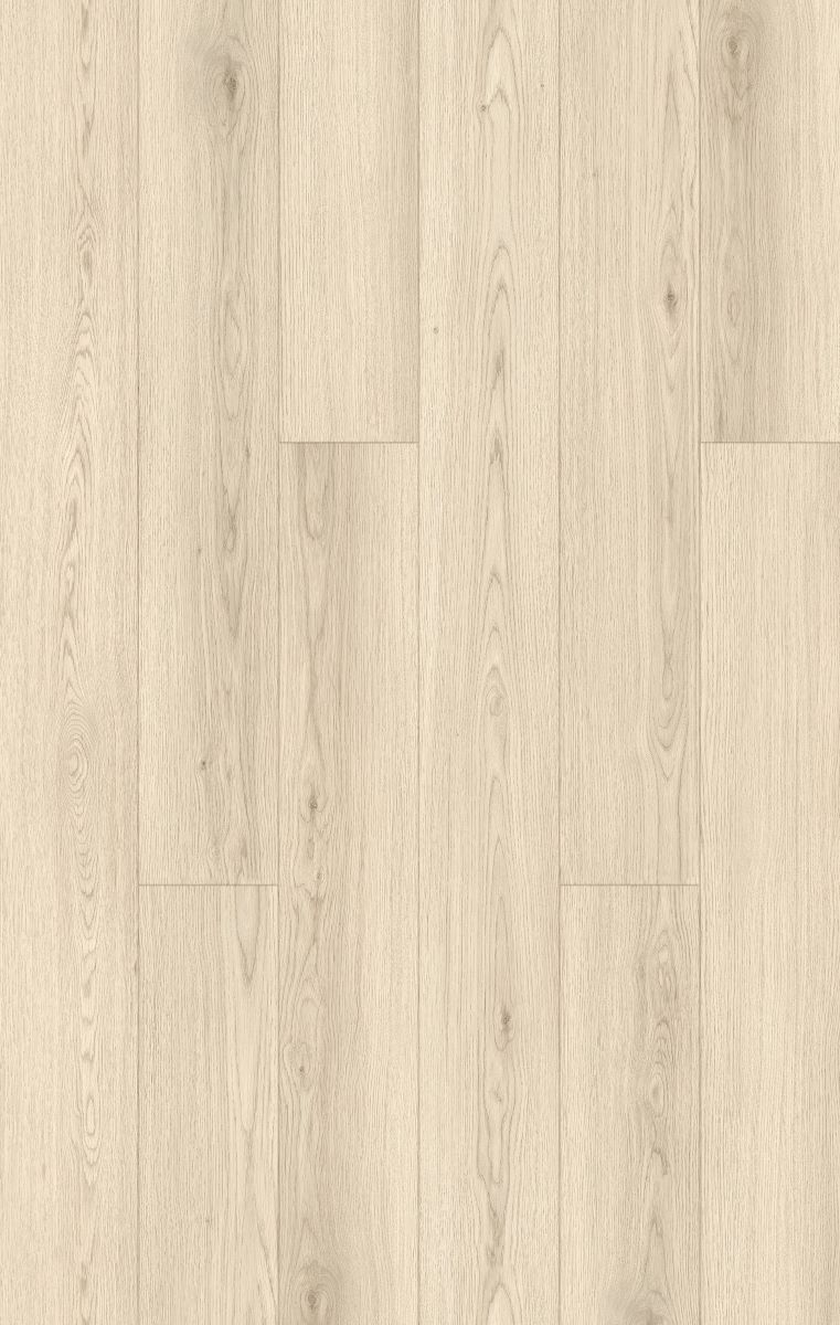 Laminate Oxford Cream 12mm flooring colour and grain swatch.