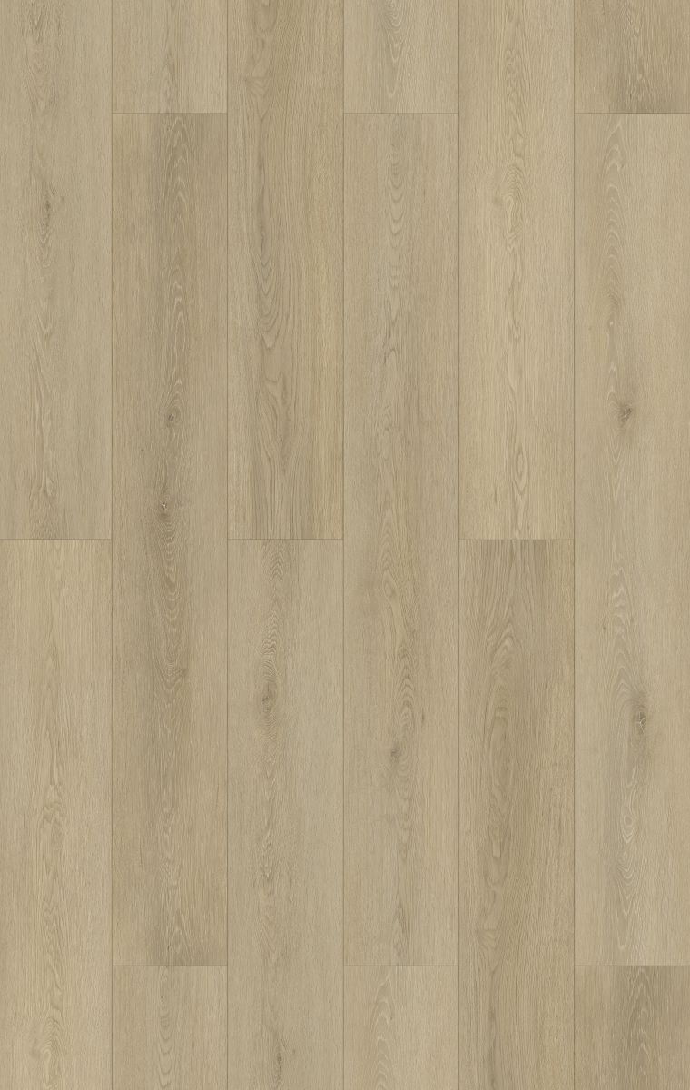 Laminate Coventry Sand 12mm flooring colour and grain swatch.