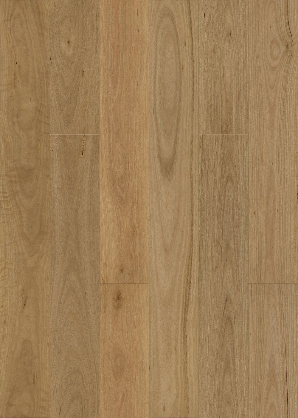 Brushed Blackbutt engineered blackbutt flooring colour and grain sample.