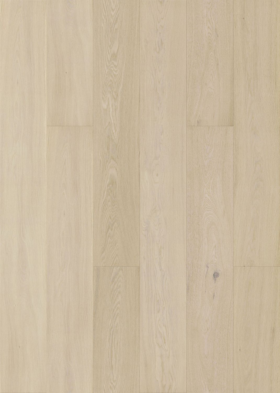 Antique White engineered european oak flooring colour and grain sample.