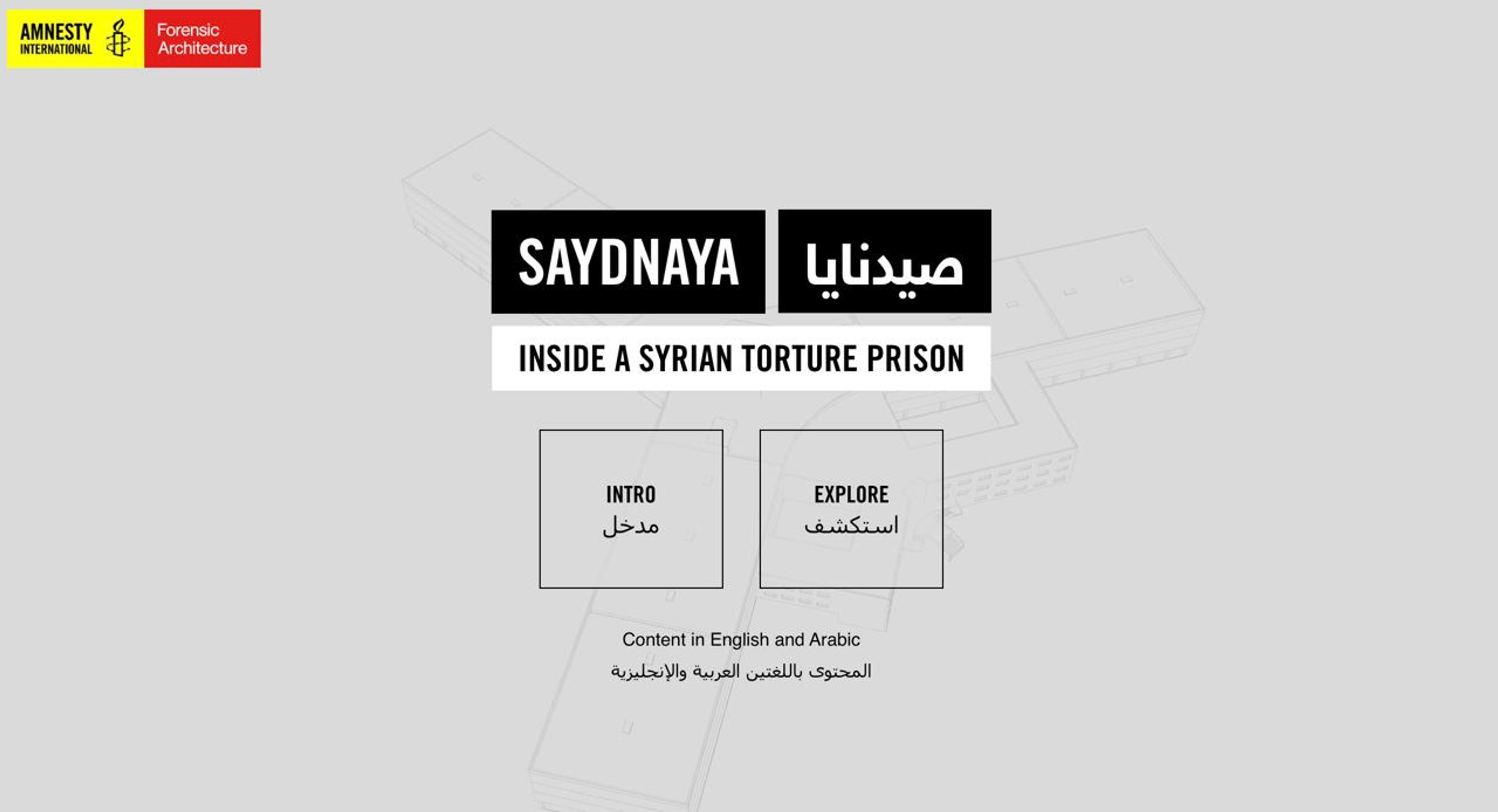 Amnesty International: Explore Sadnaya