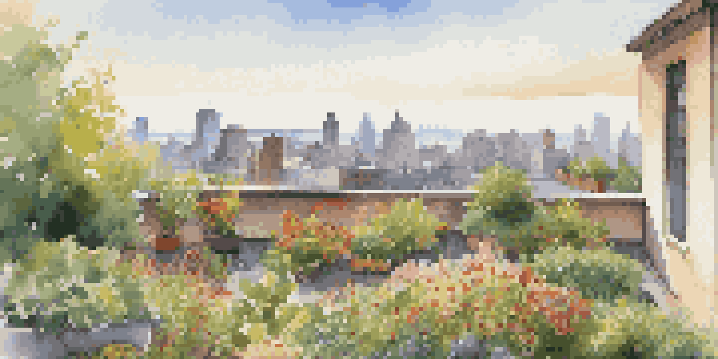 A rooftop garden with colorful flowers and greenery, set against a city skyline in warm sunlight.