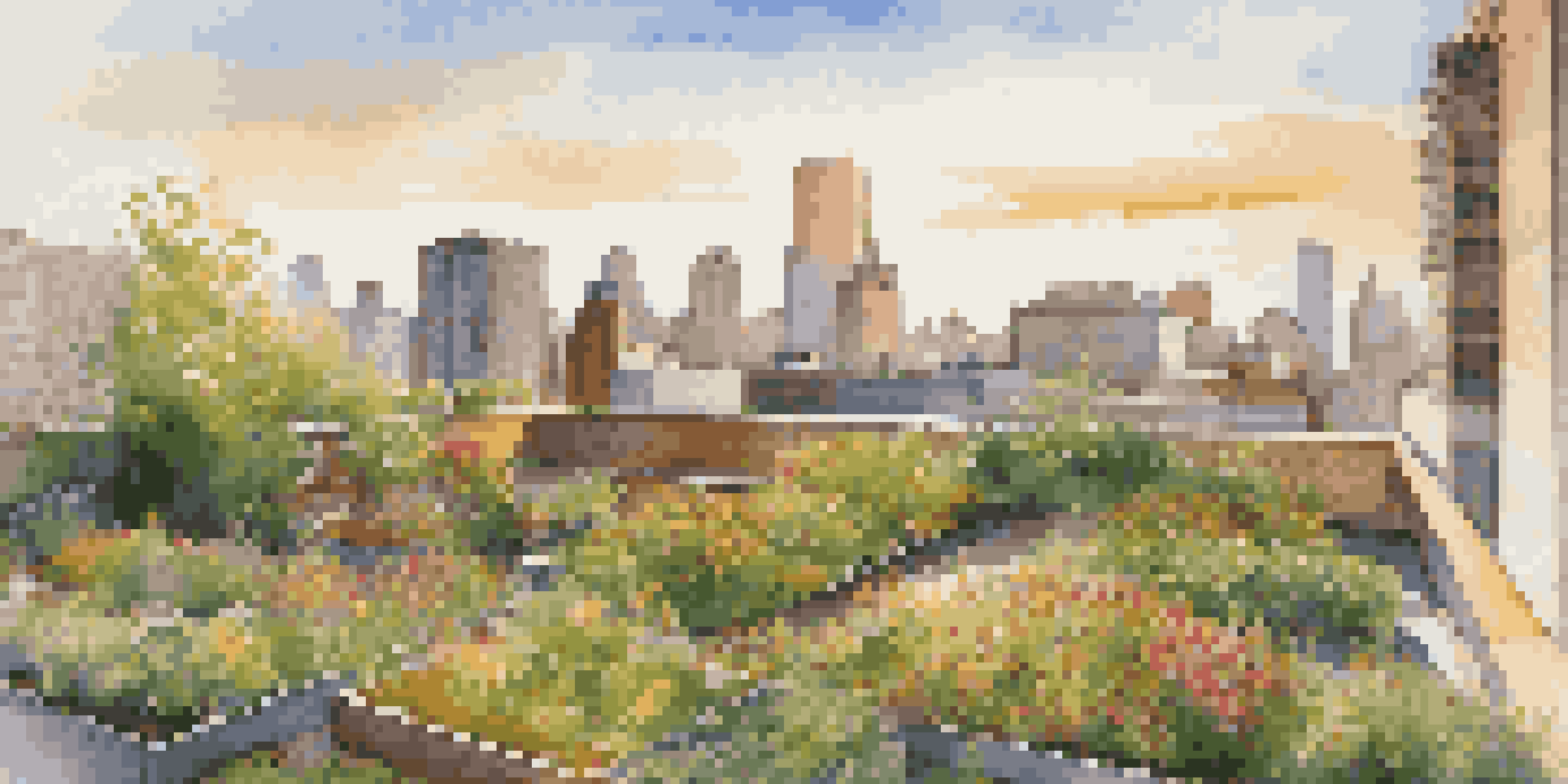 A colorful rooftop garden with various plants and flowers under warm sunlight, contrasting with a modern city skyline.