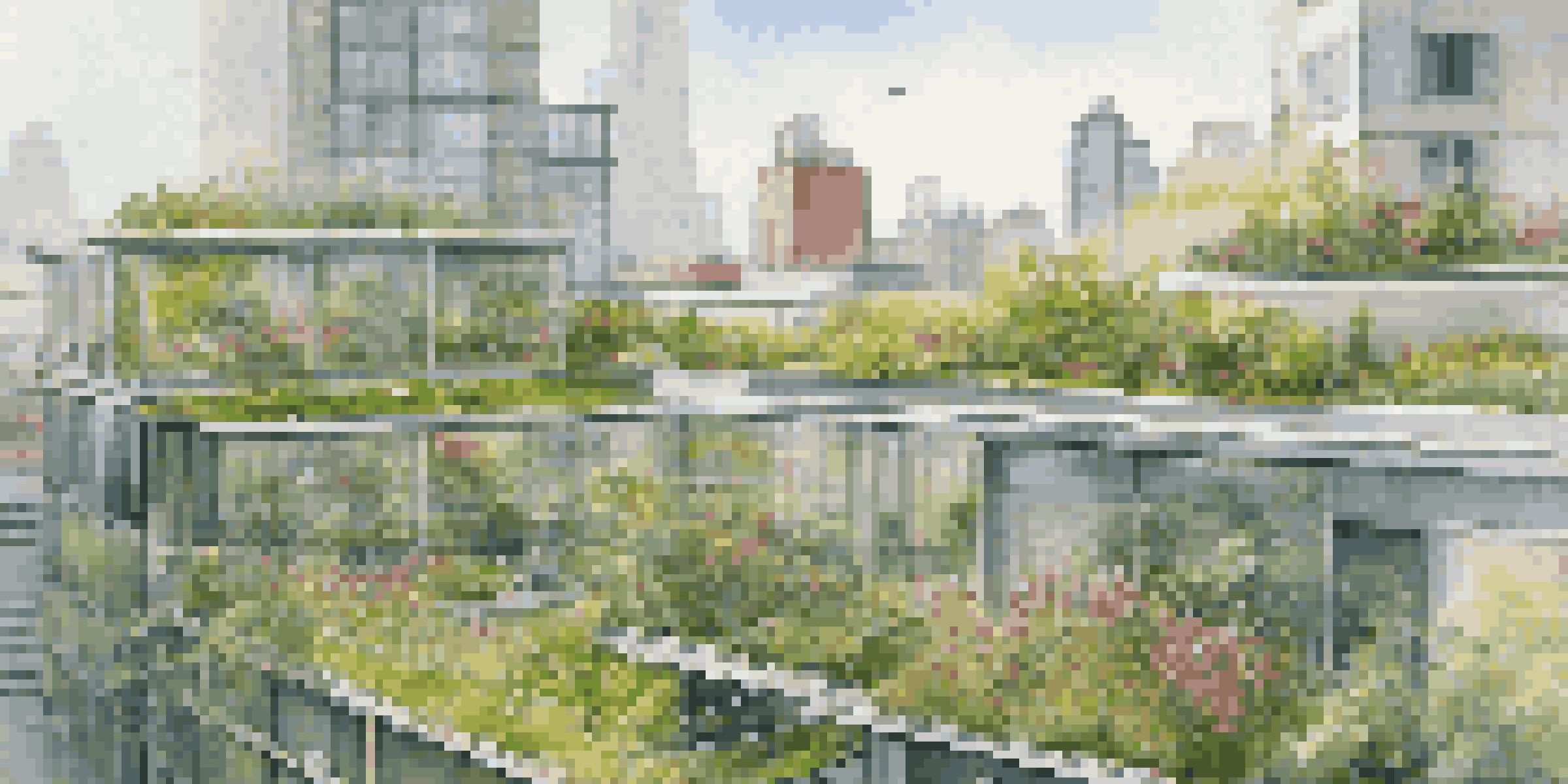 A lush green roof with diverse plants and flowers atop a modern city building, with a skyline of glass and steel structures in the background.