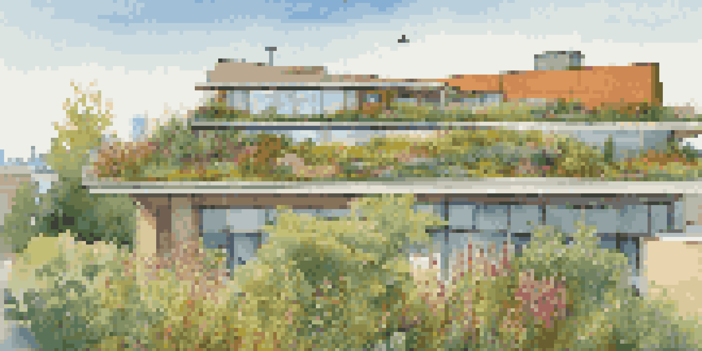 A lush green roof with various plants on a modern building, under a clear blue sky with birds nearby.