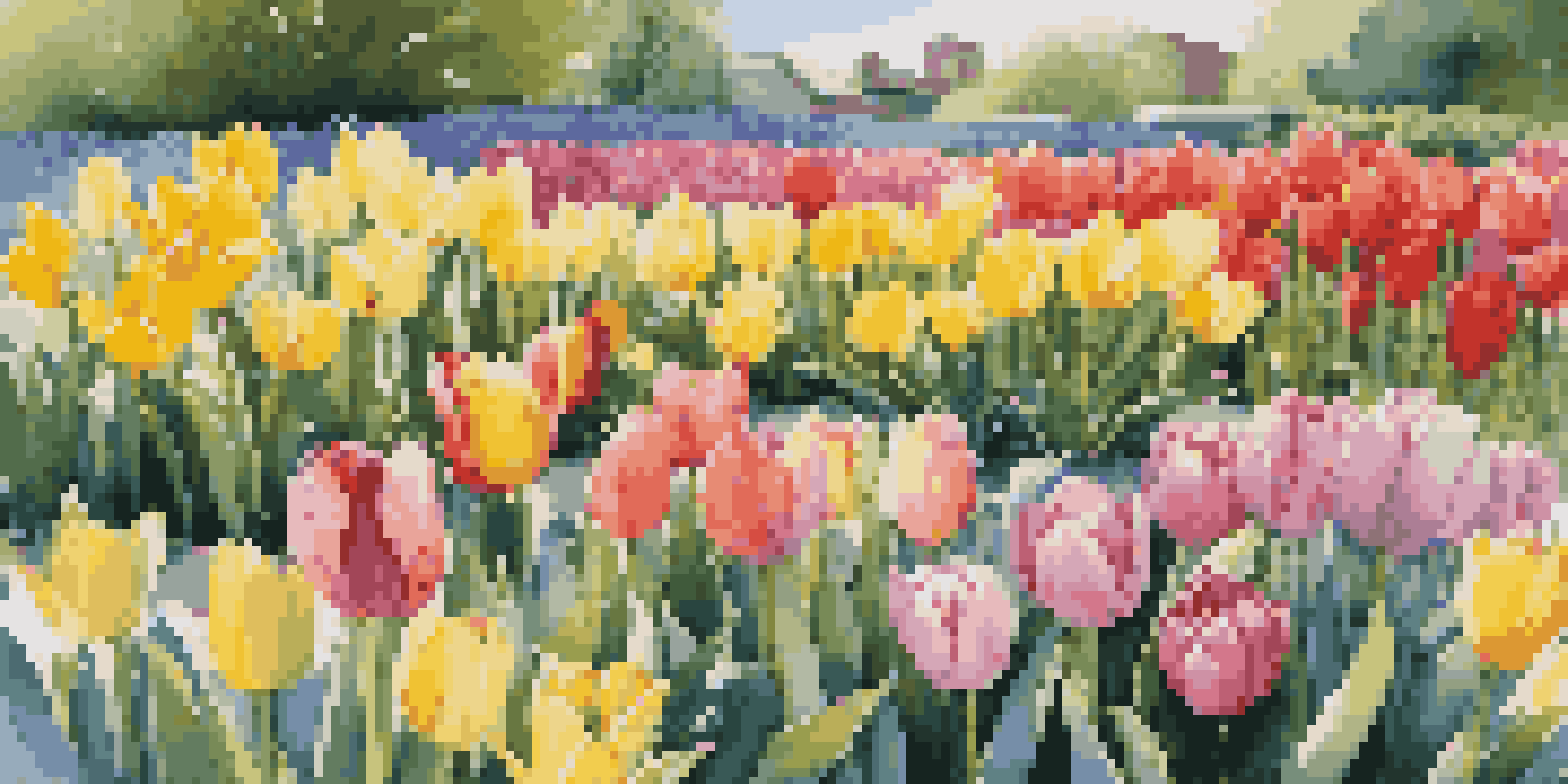 A colorful spring flower bed with tulips, daffodils, and hyacinths blooming in layers under a clear blue sky.