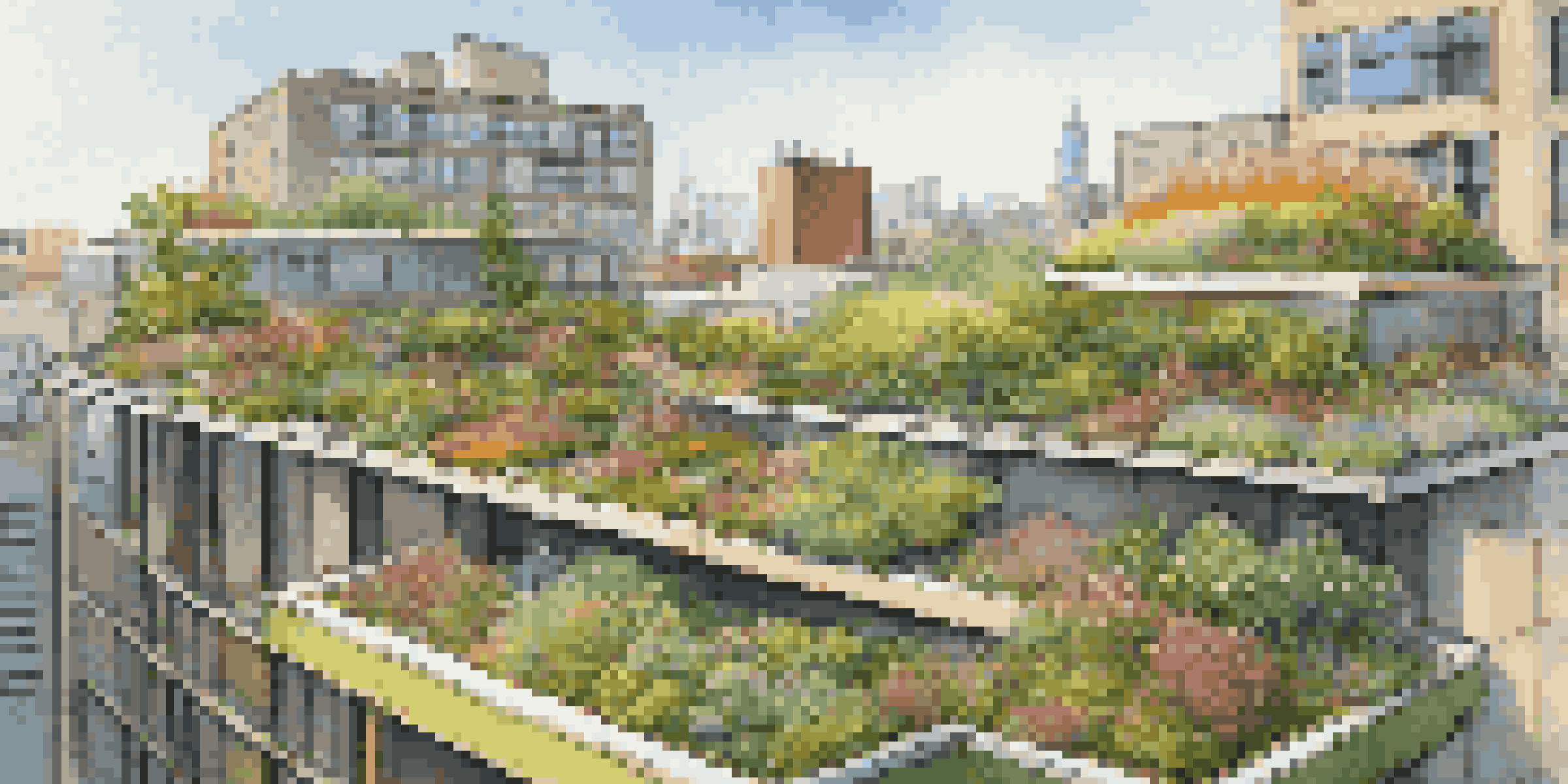 A colorful green roof garden atop a modern building, featuring diverse plants under a clear blue sky.