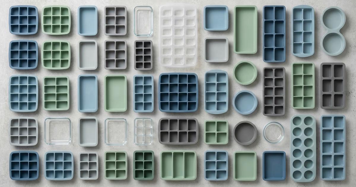 Top 10 Best Freezable Portion Trays for 2025