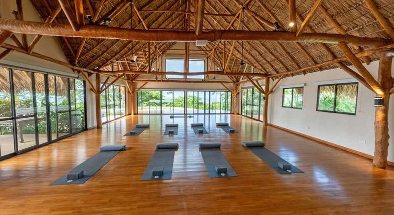 Open-air yoga shala at TreeCasa with bamboo roof, blue mats arranged across the wooden floor, and tall windows opening to the jungle