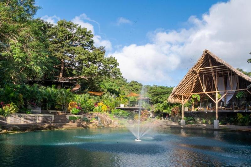 Pool and thatched-roof gathering pavilion at TreeCasa
