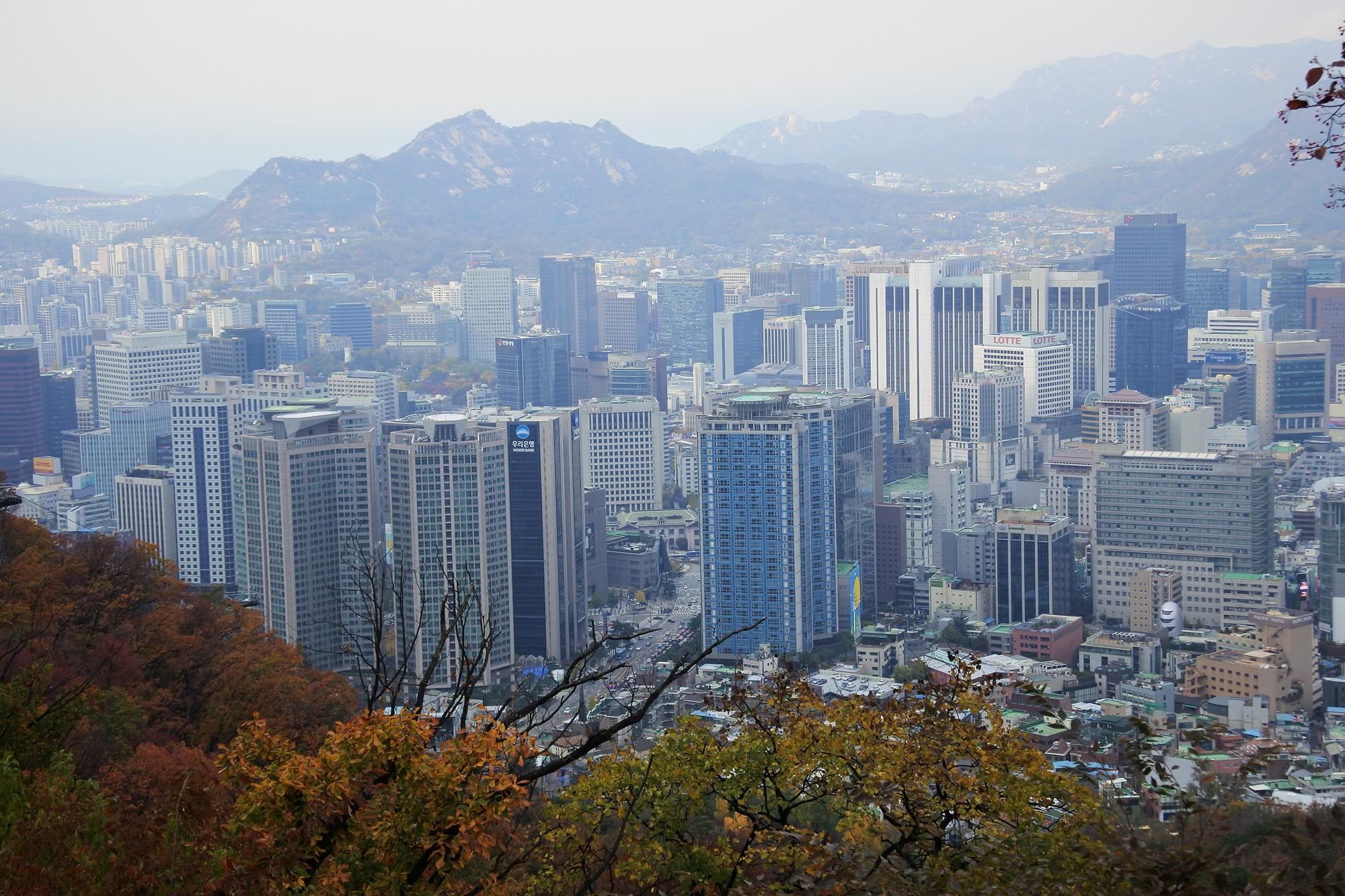 The downtown Seoul skyline seen from Namsan, with high-rise towers backed by the city's ring of mountains and autumn foliage in the foreground.