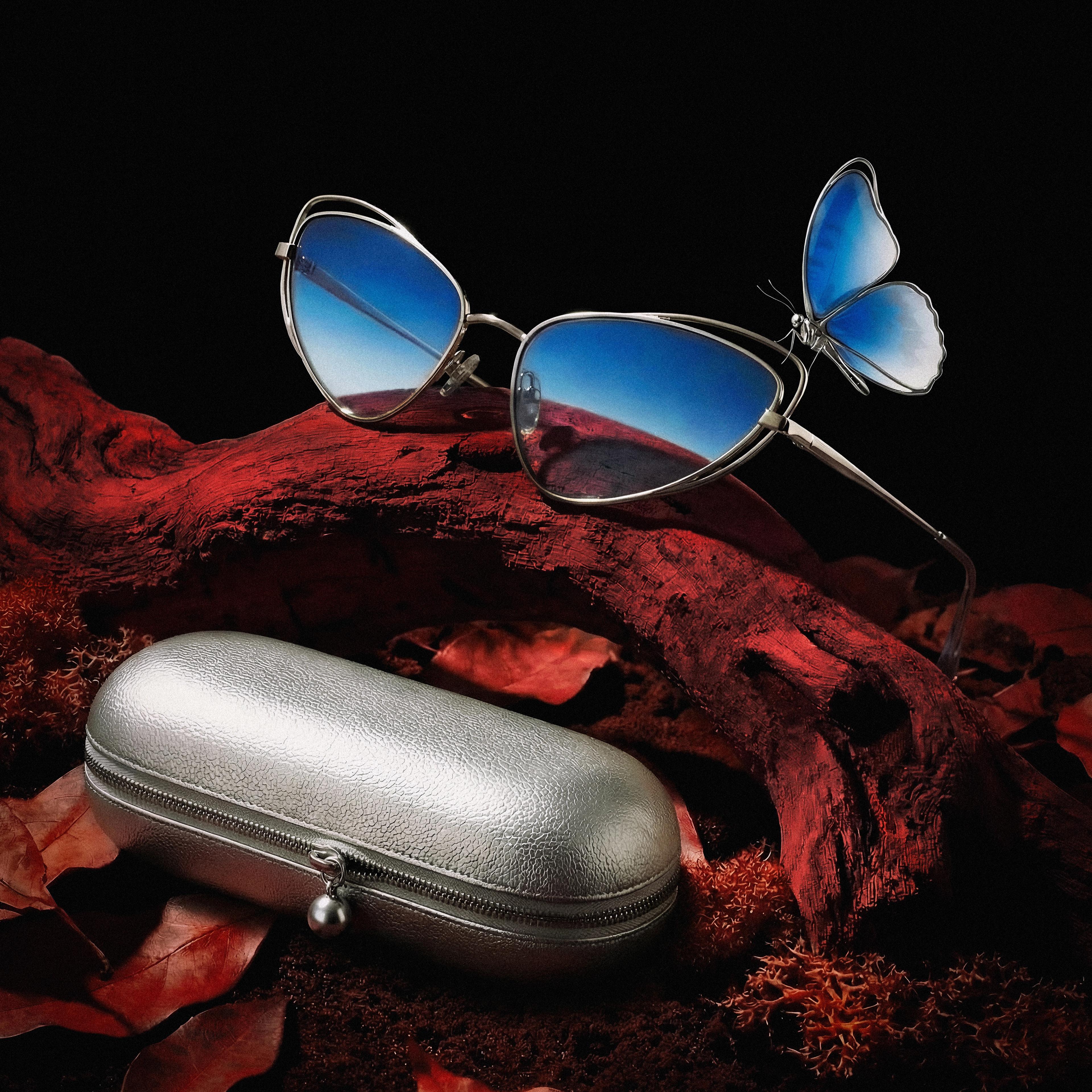 The Morpho Vision #02