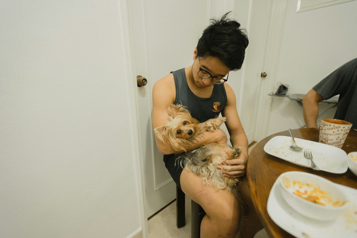 Mats med en yorkshireterrier på fanget