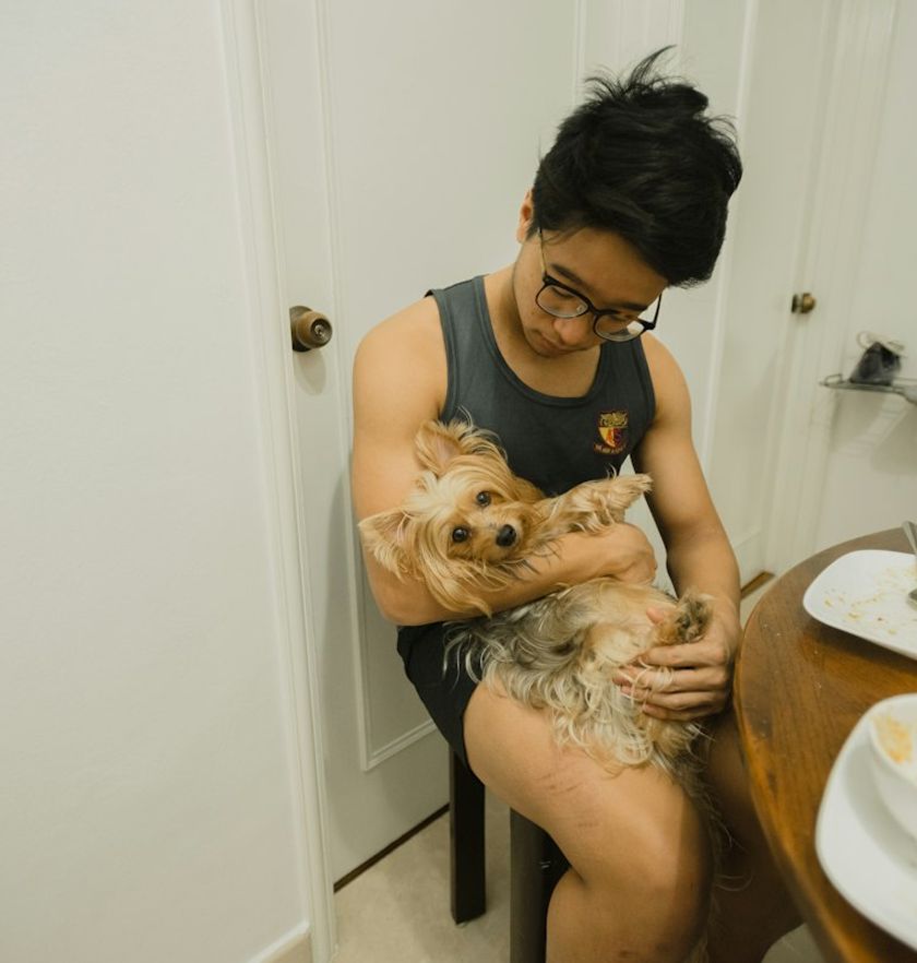 Mats med en yorkshireterrier på fanget