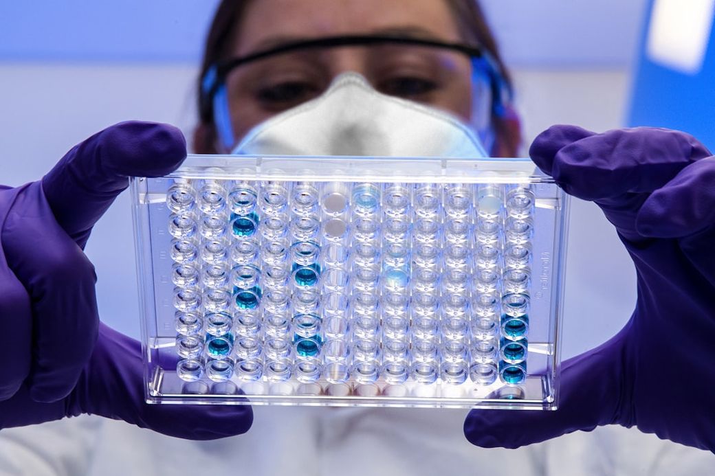 A laboratory technician wearing gloves and a face mask examines a clear plastic plate containing samples, displaying blue liquid in several wells. The technician's focus suggests a meticulous scientific analysis in progress. — Credit: Photo by CDC on Unsplash