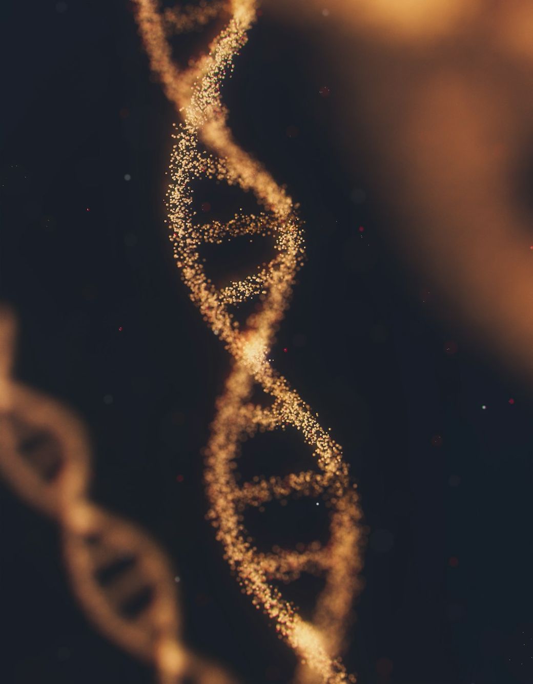 The image features a visually striking representation of a DNA double helix, depicted with sparkling particles against a dark background. The design emphasizes the complexity and beauty of genetic structures. — Credit: Photo by Anirudh on Unsplash