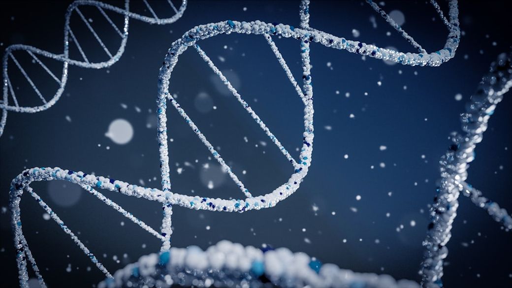 The image features a close-up view of a DNA double helix structure, artistically rendered with sparkling elements that resemble crystals. The background is softly blurred, giving a sense of depth and emphasizing the intricate details of the DNA strands. — Credit: Photo by Braňo on Unsplash