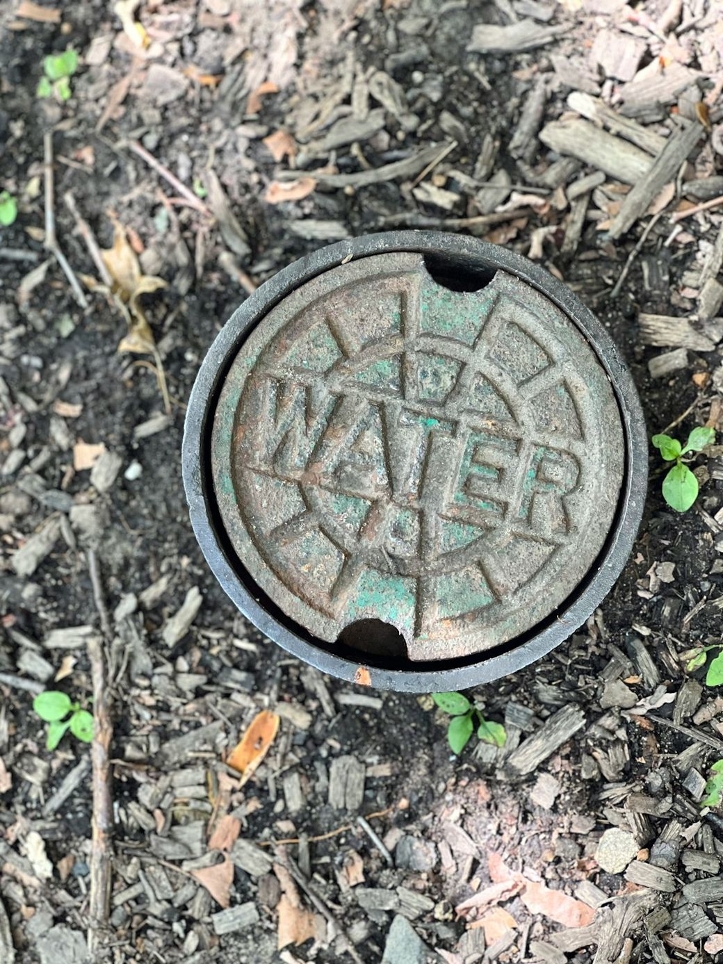 The image shows a circular, rusted manhole cover labeled 'WATER' set in a ground of soil and small plants. The cover is detailed with a geometric design, indicating its industrial purpose. — Credit: Photo by Tim Wildsmith on Unsplash