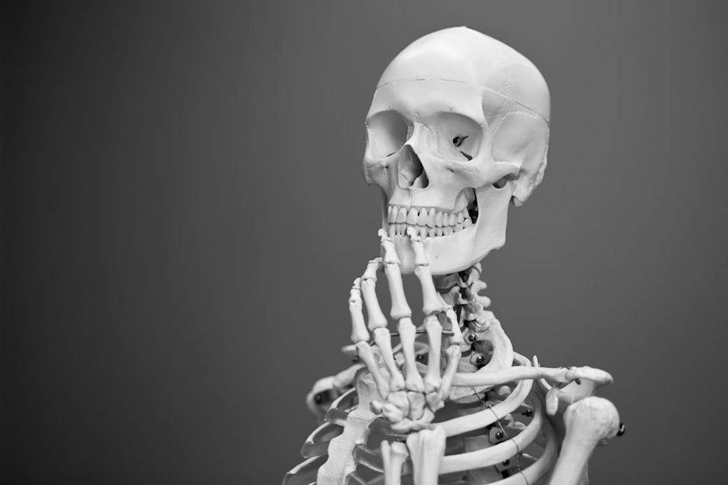 The image features a life-sized human skeleton model, posed thoughtfully with its hand raised to its chin. The monochrome background emphasizes the anatomical details of the skeleton, showcasing its structure and features. — Credit: Photo by Mathew Schwartz on Unsplash