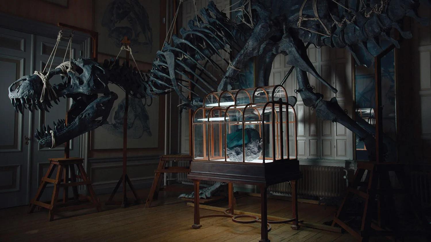 The image depicts a dimly lit room featuring a large dinosaur skeleton, prominently displayed alongside a glass-enclosed fossil or artifact. The skeletal structure looms over a wooden display case, which is illuminated, highlighting its contents.