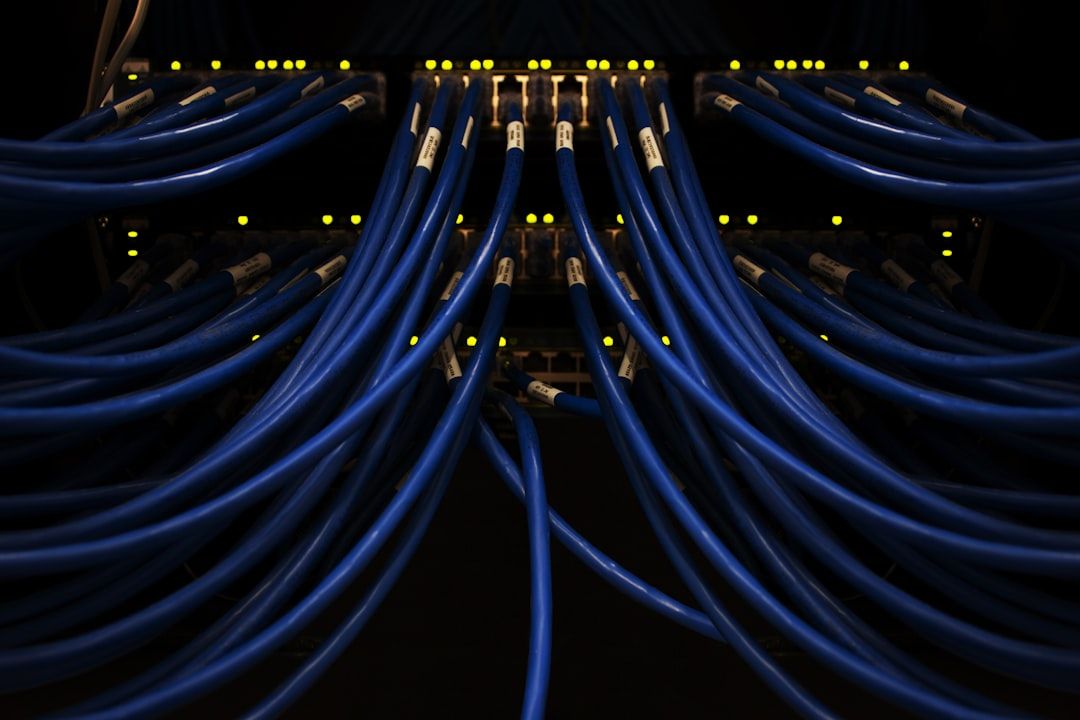 The image shows a close-up view of multiple blue network cables connected to a data switch. The illuminated ports of the switch indicate active connections.
