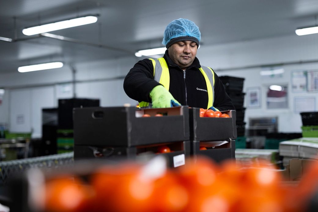 A worker in a food distribution center is moving crates of tomatoes. The setting features a clean, well-organized environment aimed at food processing or packing.