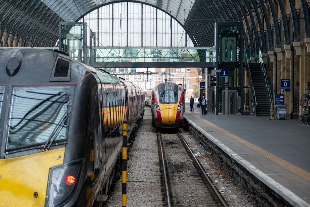 The image shows two trains on adjacent tracks at a railway station with an arched glass roof. One train is in the foreground, partially visible, while the other faces towards the camera, showcasing its front design.