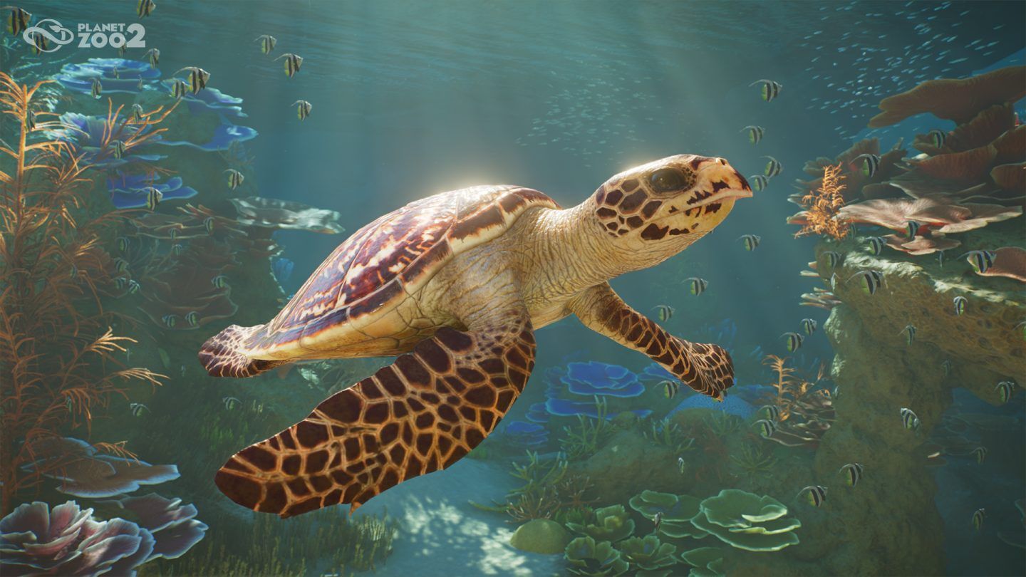 A realistic depiction of a sea turtle swimming gracefully underwater amidst vibrant coral and various fish species. The scene captures the beauty of marine life in a colorful ocean environment.
