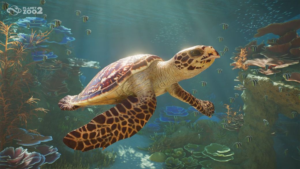 A realistic depiction of a sea turtle swimming gracefully underwater amidst vibrant coral and various fish species. The scene captures the beauty of marine life in a colorful ocean environment.