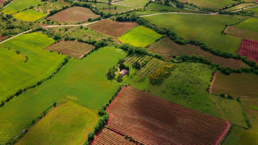 An aerial view of a vibrant agricultural landscape featuring various fields with differing crops and green vegetation. The patchwork of colors showcases the diversity of farming activities in the area.