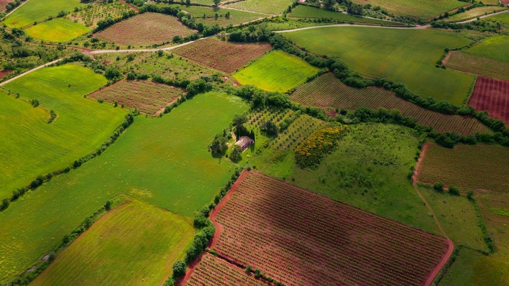 An aerial view of a vibrant agricultural landscape featuring various fields with differing crops and green vegetation. The patchwork of colors showcases the diversity of farming activities in the area. — Credit: Photo by Gautier Pfeiffer on Unsplash