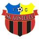 Kostelec logo