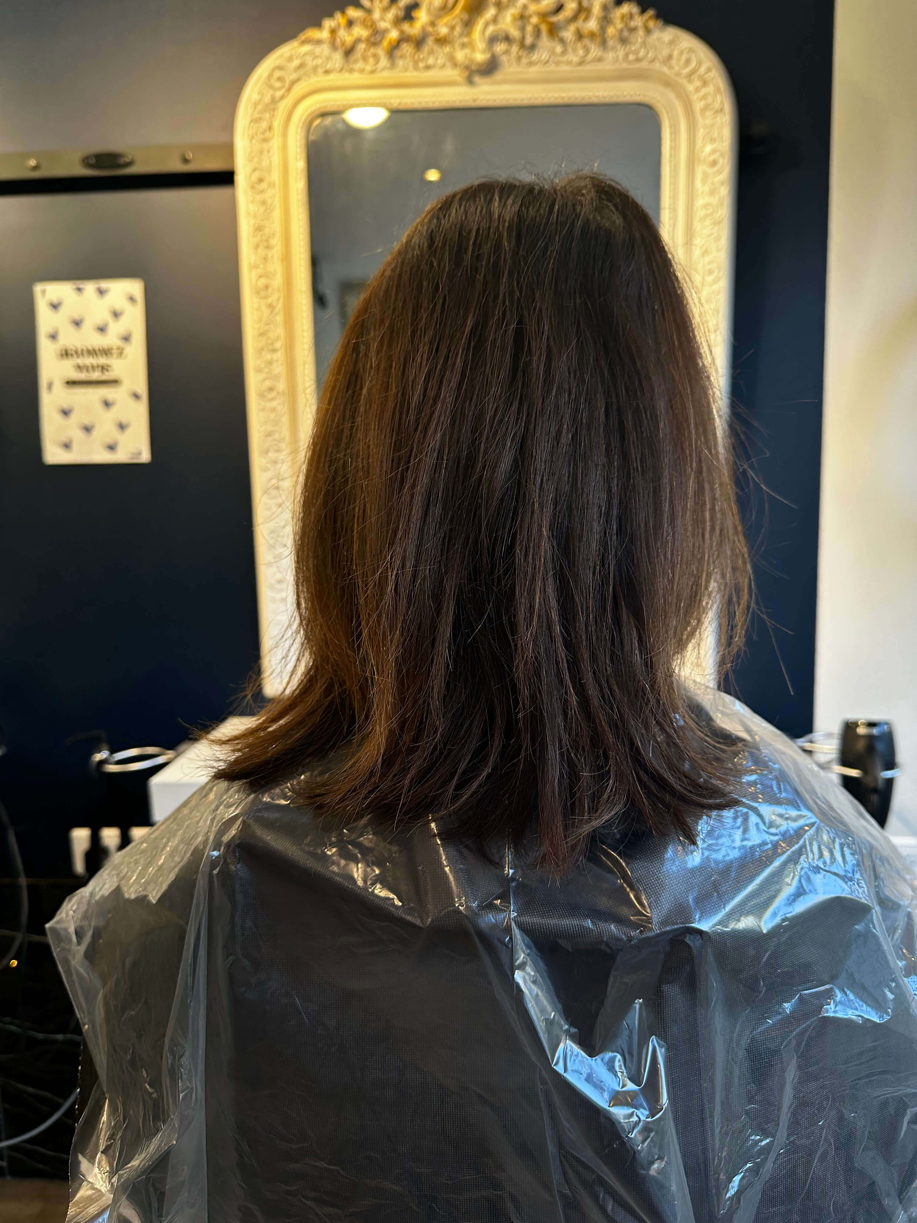 Couleur brunette Pauline Chocolate Malt avant